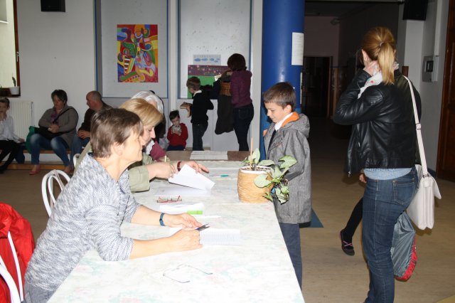 Megyei helyesírási verseny